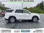 2021 Hyundai Palisade Luxury-4