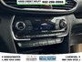 2019 Hyundai Santa Fe Preferred-17