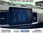 2025 Hyundai Venue Preferred-15