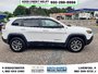 2020 Jeep Cherokee Trailhawk Elite-4