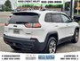 2020 Jeep Cherokee Trailhawk Elite-5