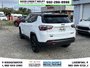 2023 Jeep Compass Trailhawk-5