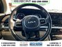 2024 Kia Carnival LX+-12
