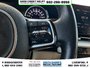 2024 Kia Carnival LX+-11