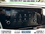 2024 Kia Carnival LX+-14