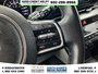 2024 Kia Carnival LX+-13