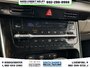 2024 Kia Carnival LX+-18