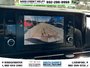 2024 Kia Carnival LX+-15