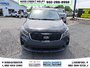 2019 Kia Sorento LX-7
