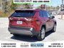 2019 Toyota RAV4 Limited-5