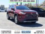 2019 Toyota RAV4 Limited-3