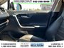 2019 Toyota RAV4 Limited-22