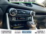 2019 Toyota RAV4 Limited-18