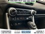 2019 Toyota RAV4 LE-17