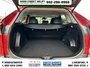 2019 Toyota RAV4 XLE-7