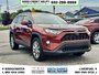 2019 Toyota RAV4 XLE-3