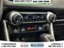 2019 Toyota RAV4 XLE-18