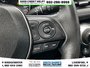 2019 Toyota RAV4 XLE-13