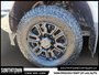 2020 Ford Super Duty F-250 SRW XLT