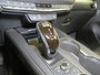 2021 Cadillac XT4 AWD Premium Luxury *GM Certified*-18