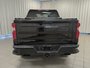2021 Chevrolet Silverado 1500 Custom Trail Boss-6