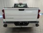 2023 Chevrolet Silverado 1500 Work Truck-6