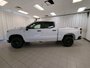 2023 Chevrolet Silverado 1500 LT Trail Boss-4