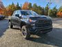 2024 Chevrolet Silverado 1500 Custom Trail Boss-1