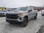 2025 Chevrolet Silverado 1500 Custom Trail Boss-3