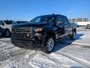 2025 Chevrolet Silverado 1500 Custom-3