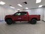 2025 Chevrolet Silverado 1500 LT Trail Boss-4