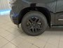 2025 Chevrolet Silverado 1500 High Country-9