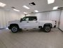 2025 Chevrolet SILVERADO 2500 HD CUSTOM-4