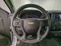 2025 Chevrolet SILVERADO 2500 HD CUSTOM-13