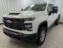 2025 Chevrolet Silverado 3500 HD WT SRW-3