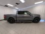 2021 Ford F-150 Platinum-8