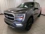 2021 Ford F-150 Platinum-3