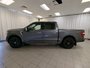 2021 Ford F-150 Platinum-4