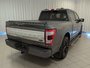 2021 Ford F-150 Platinum-7