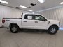 2023 Ford F-150 XLT-8