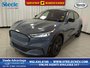2023 Ford Mustang Mach-E California Route 1-0