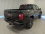 2025 GMC Canyon AT4-7