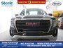 2019 GMC Sierra 1500 BASE-0