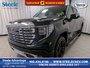 2022 GMC Sierra 1500 Denali-0