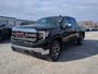 2025 GMC Sierra 1500 SLT-3