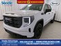 2025 GMC Sierra 1500 PRO-0