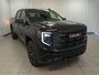 2025 GMC Sierra 1500 PRO-1
