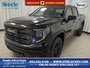 2025 GMC Sierra 1500 PRO-0