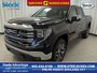 2025 GMC Sierra 1500 SLT-0