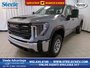 2025 GMC Sierra 2500 HD PRO-0